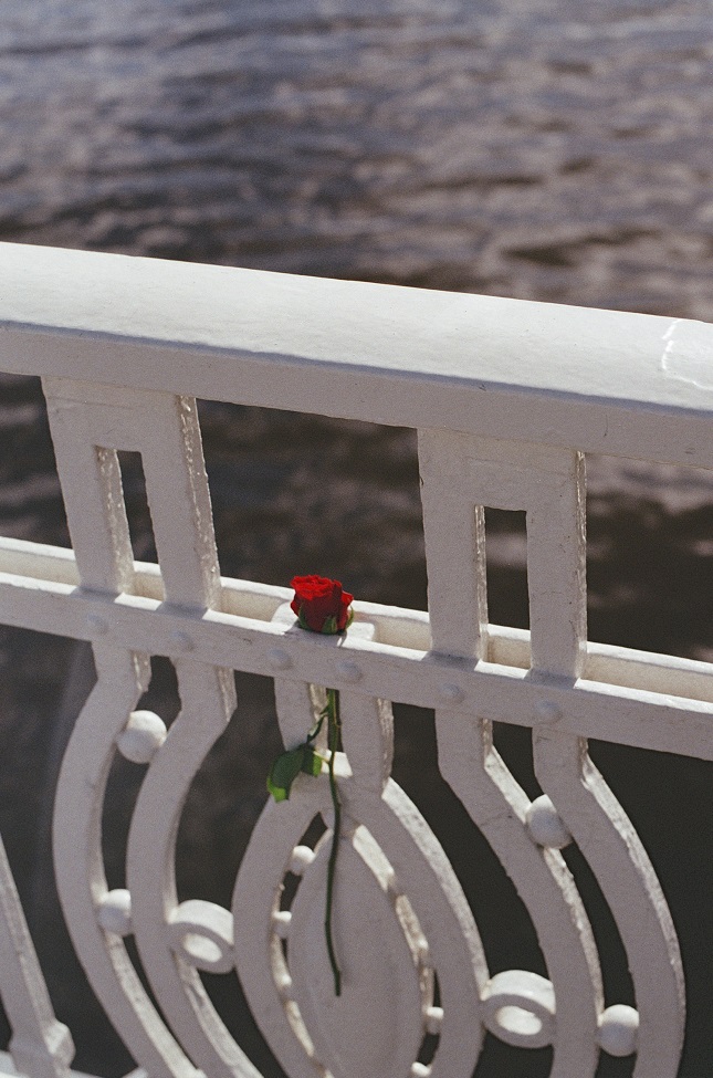 analog photograph of a single rose on a railing of a bridge at a lake