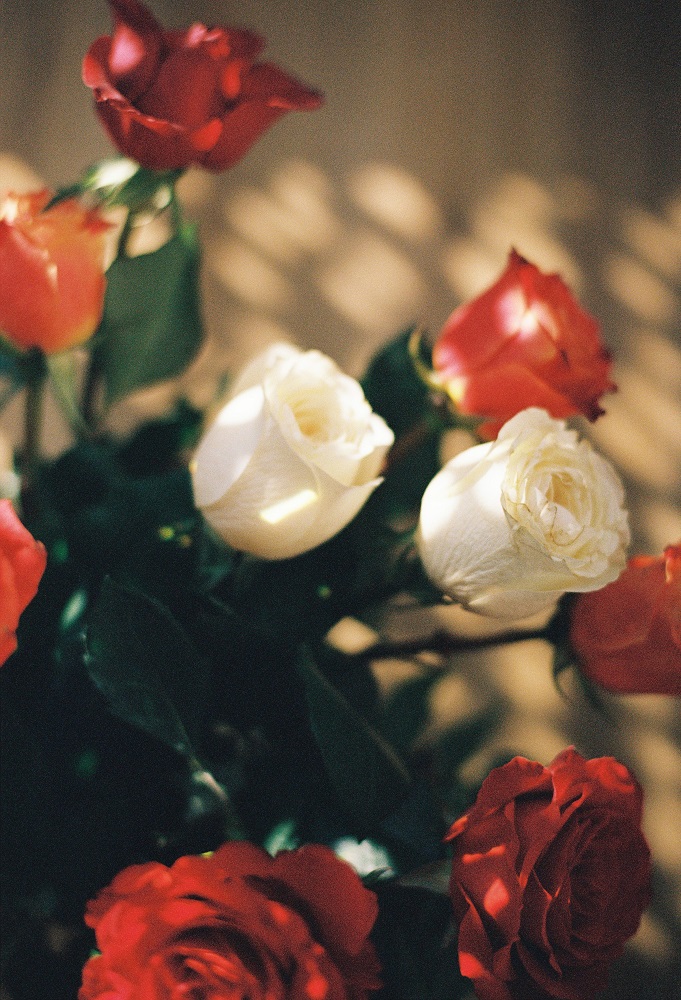 analog photograph of a bouquet of roses